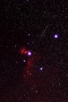 Sternfeldaufnahme mit Meteor vom  Flammennebel und Pferdekopfnebel - Reiner Hartmann